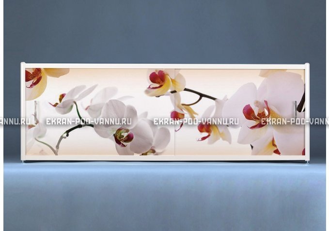 Раздвижной ФОТО экран - Orchid – купить по цене 8500 руб. в интернет-магазине в городе Тверь картинка 1