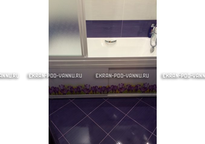 Экран на роликах EUROPLEX  Ирисы – купить по цене 12400 руб. в интернет-магазине в городе Тверь картинка 4
