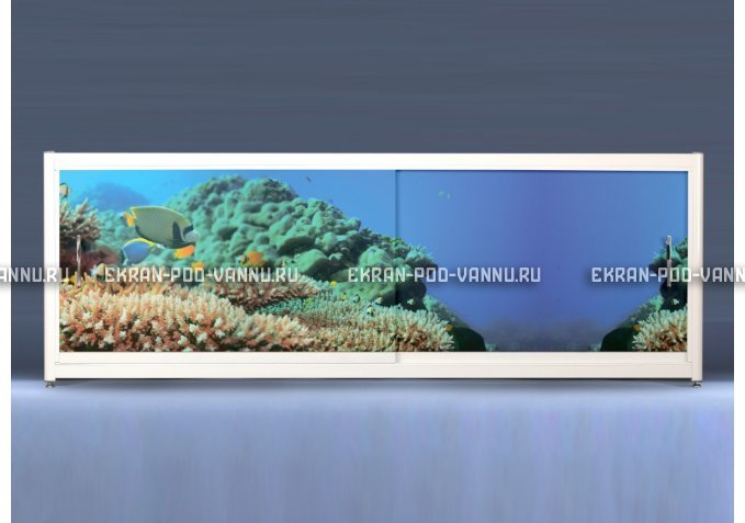 Экран на роликах EUROPLEX Коралловые рифы – купить по цене 12400 руб. в интернет-магазине в городе Тверь картинка 1