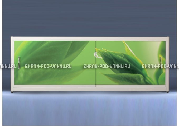 Экран на роликах EUROPLEX Роса – купить по цене 12400 руб. в интернет-магазине в городе Тверь картинка 1